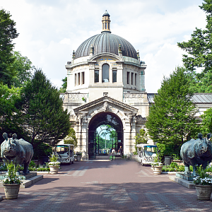 Jun. 2023 - Zoo Center