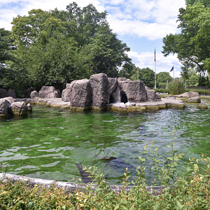 Jun. 2023 - Astor Court - Sea Lion Pool Panorama