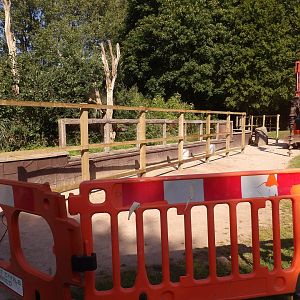 Work Near The Bush Dogs