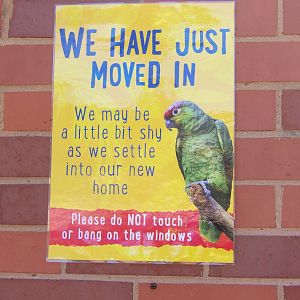 New Arrival Sign (Ecuadorian Amazons)