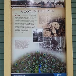 Beacon Hill Park Zoo