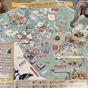 Zoo Map - 2011