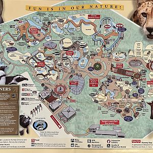 Zoo Map - 2008