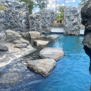 Seal and Fur Seal Exhibit