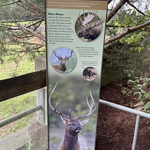 Elk vs Wapiti sign