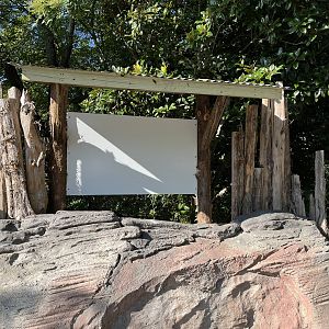 New Mystery Sign near Baboons