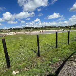 Polar Bear Exhibit, Second Section