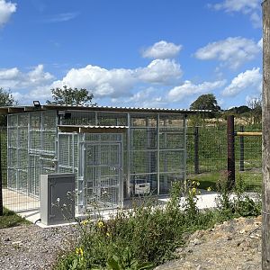 Polar Bear Weighing Station