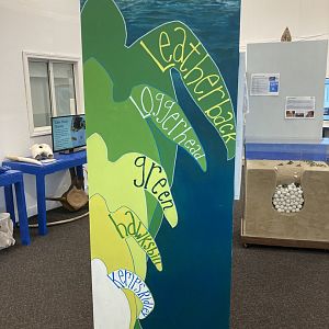 Sea turtle size diagram sign