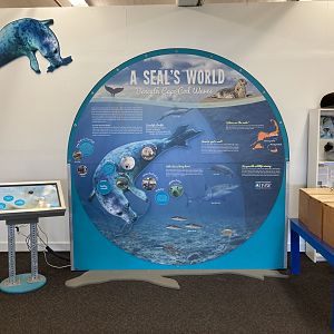 A seal’s world sign