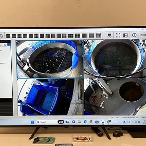 Screen display of seal rehabilitation room