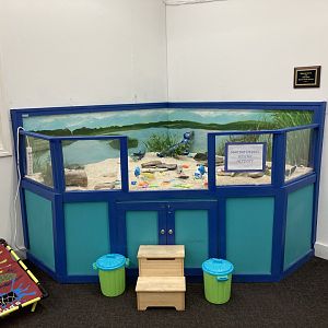 Play area (former Eastern Box Turtle exhibit)