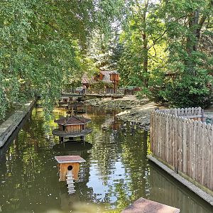 Waterfowl pond - Tierpark Bischofswerda