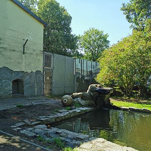 Bear enclosure -  Tierpark Bischofswerda