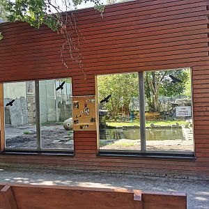 Bear viewing windows - Tierpark Bischofswerda