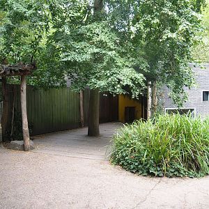 Malayan tapir viewing areas, 2022-08-16