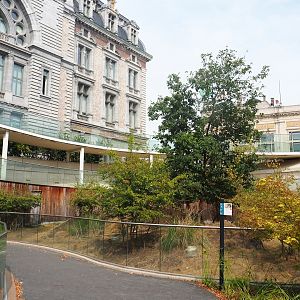 Dusky pademelon exhibit at the time, now home to Reeves's muntjac, 2022-08-16
