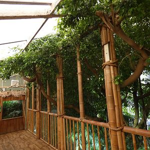 Tropical house upper section