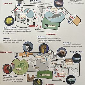 Aquarium Map - 2012