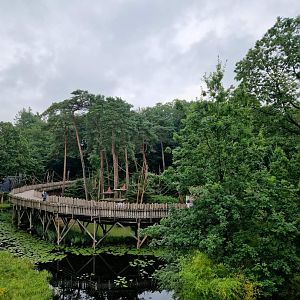 Spider Monkey exhibit