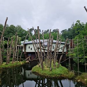 Orangutan outdoor exhibit