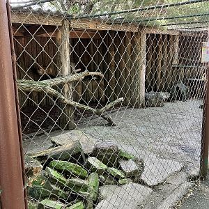 Gyöngyös zoo