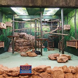 New paint in bat and sloth house