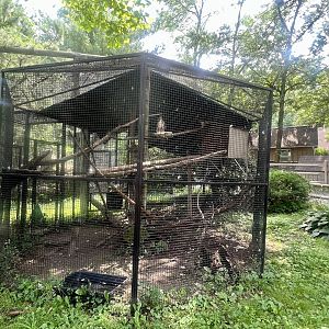 Red-Tailed Hawk Exhibit