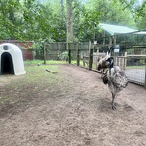 Emu Exhibit