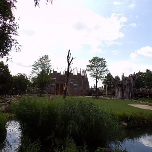 Africa- Giraffe and Greater kudu enclosure 13.7.23