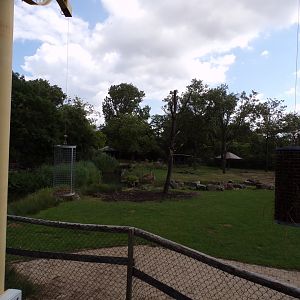 Africa- Giraffe and Greater kudu enclosure 13.7.23