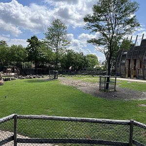 Africa- Giraffe and Greater kudu enclosure 13.7.23