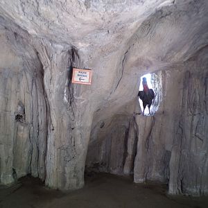 Africa- Inside the fake tree 13.7.23