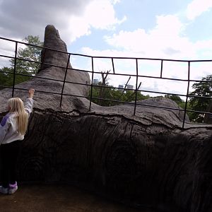 Africa- View from fake tree 13.7.23