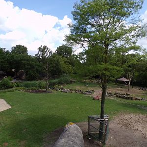Africa- Giraffe and Greater kudu enclosure 13.7.23