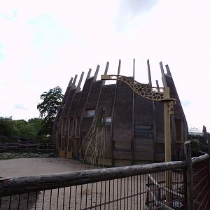 Africa- Giraffe house 13.7.23