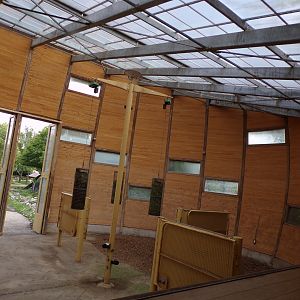 Africa- Giraffe indoors 13.7.23