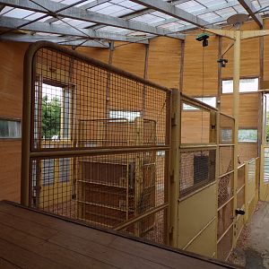 Africa- Giraffe separated area 13.7.23