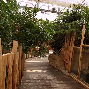 Africa- Path in crocodile house 13.7.23