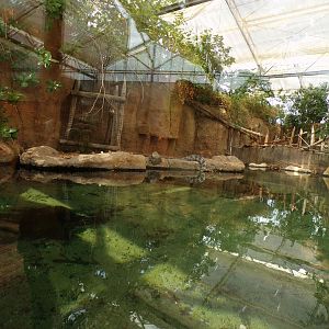 Africa- Nile crocodile enclosure 13.7.23