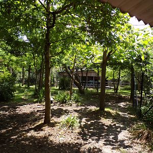 Africa- Okapi enclosure 13.7.23