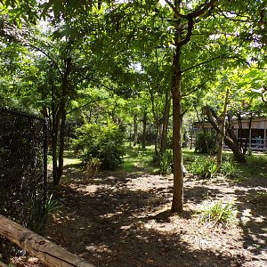 Africa- Okapi enclosure 13.7.23