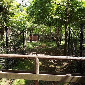 Africa- Okapi enclosure 13.7.23