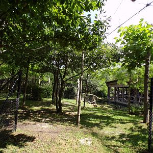 Africa- Okapi enclosure 13.7.23