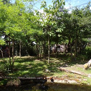 Africa- Okapi enclosure 13.7.23