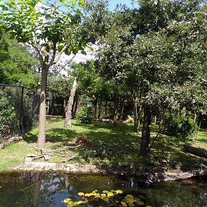 Africa- Okapi enclosure 13.7.23