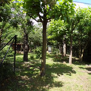 Africa- Okapi enclosure 13.7.23