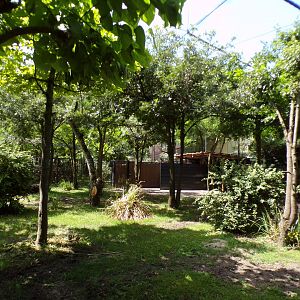 Africa- Okapi enclosure 13.7.23