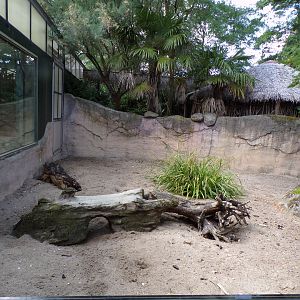 Africa- Meerkat enclosure 13.7.23