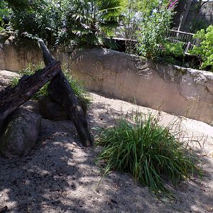Africa- Meerkat enclosure 13.7.23